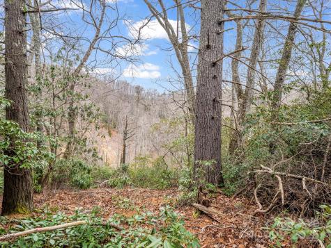 2726 Lower Flat Creek Road Black Mountain NC 28711