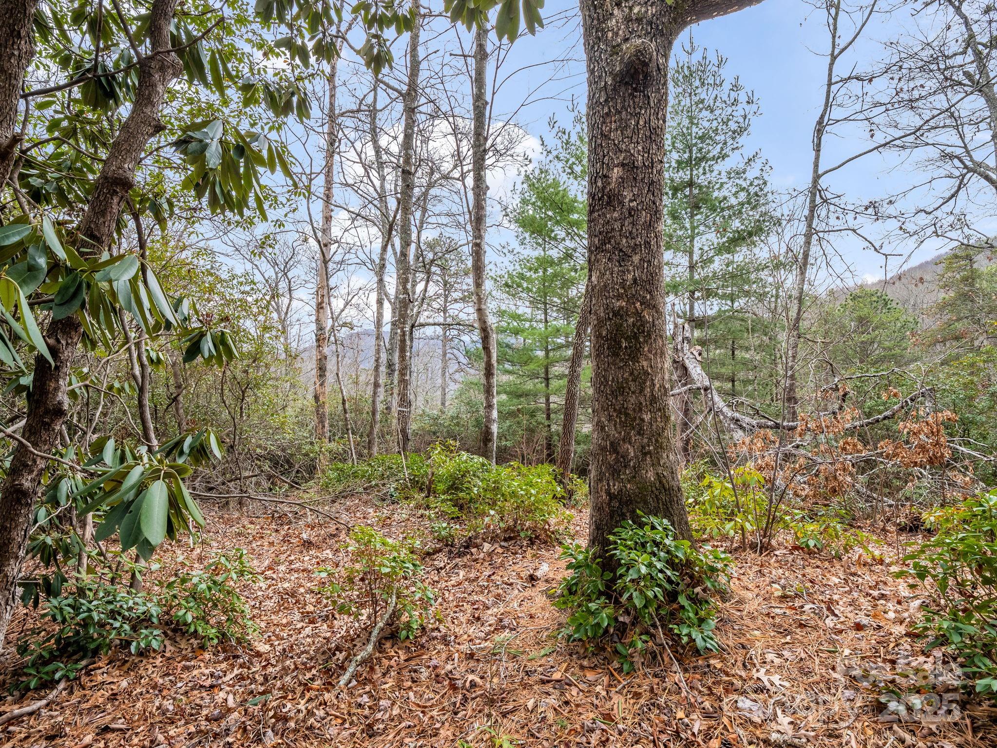 2726 Lower Flat Creek Road Black Mountain NC 28711