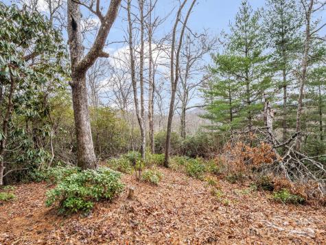 2726 Lower Flat Creek Road Black Mountain NC 28711