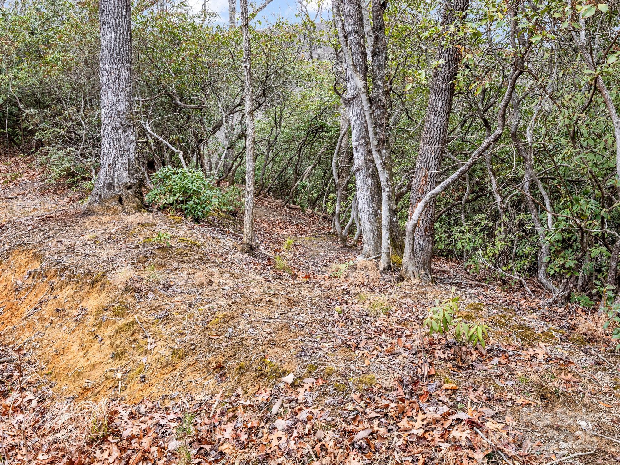 2726 Lower Flat Creek Road Black Mountain NC 28711
