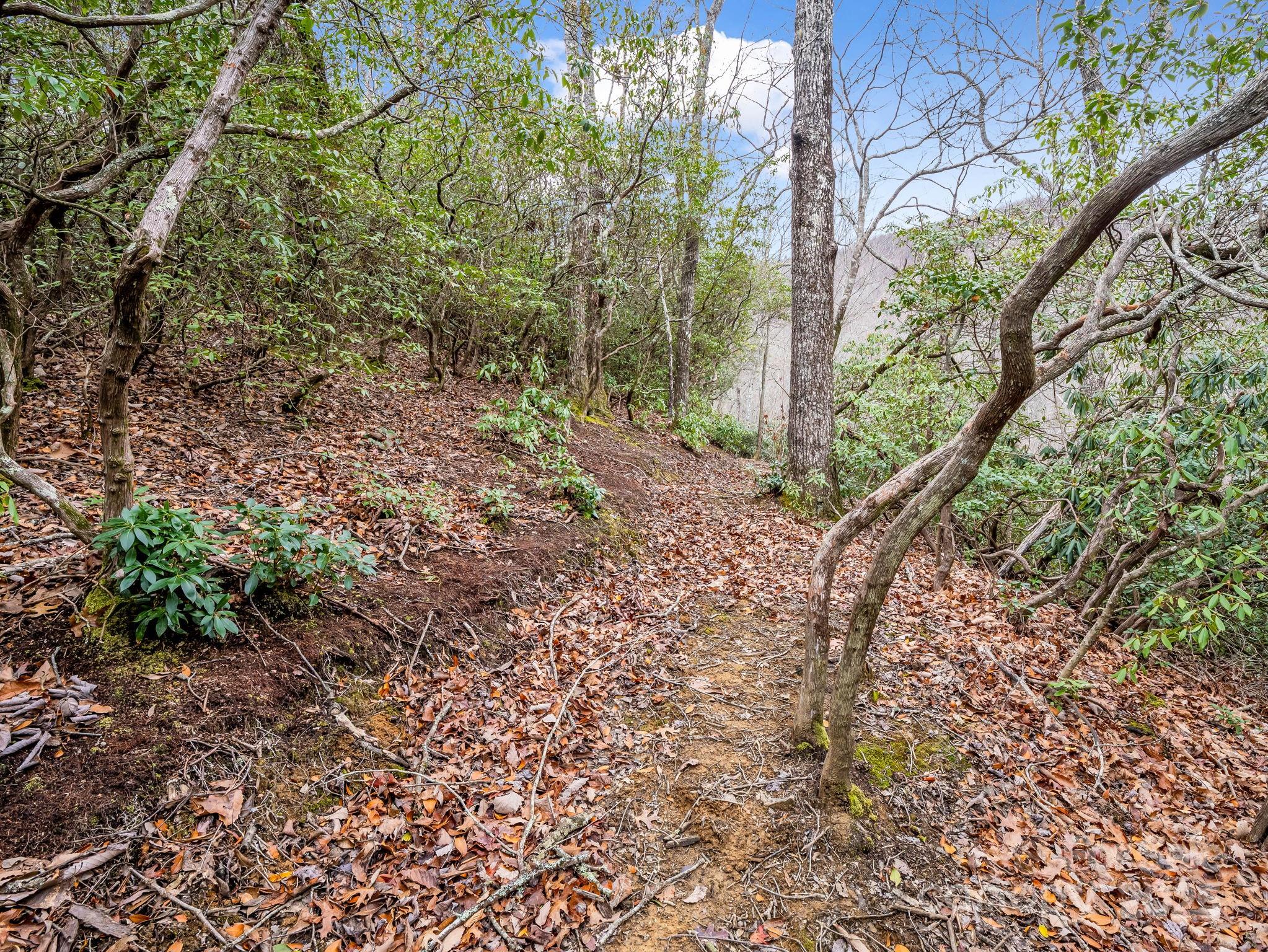 2726 Lower Flat Creek Road Black Mountain NC 28711