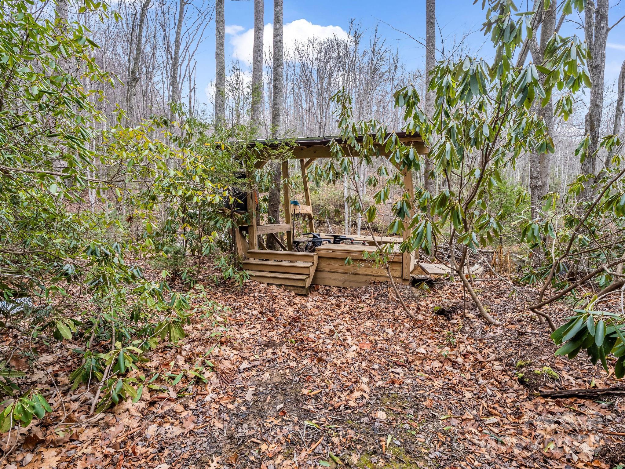 2726 Lower Flat Creek Road Black Mountain NC 28711