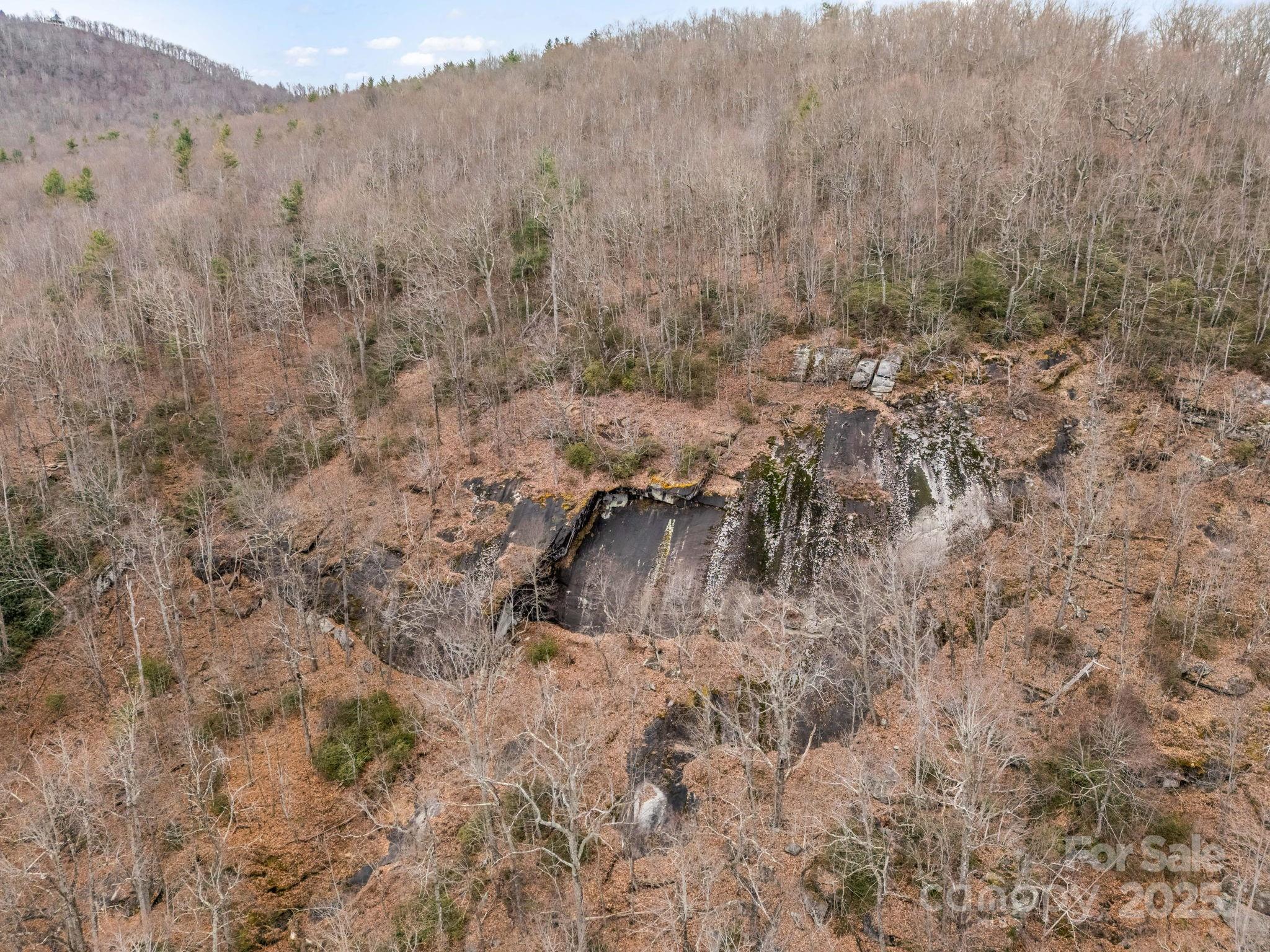 2726 Lower Flat Creek Road Black Mountain NC 28711