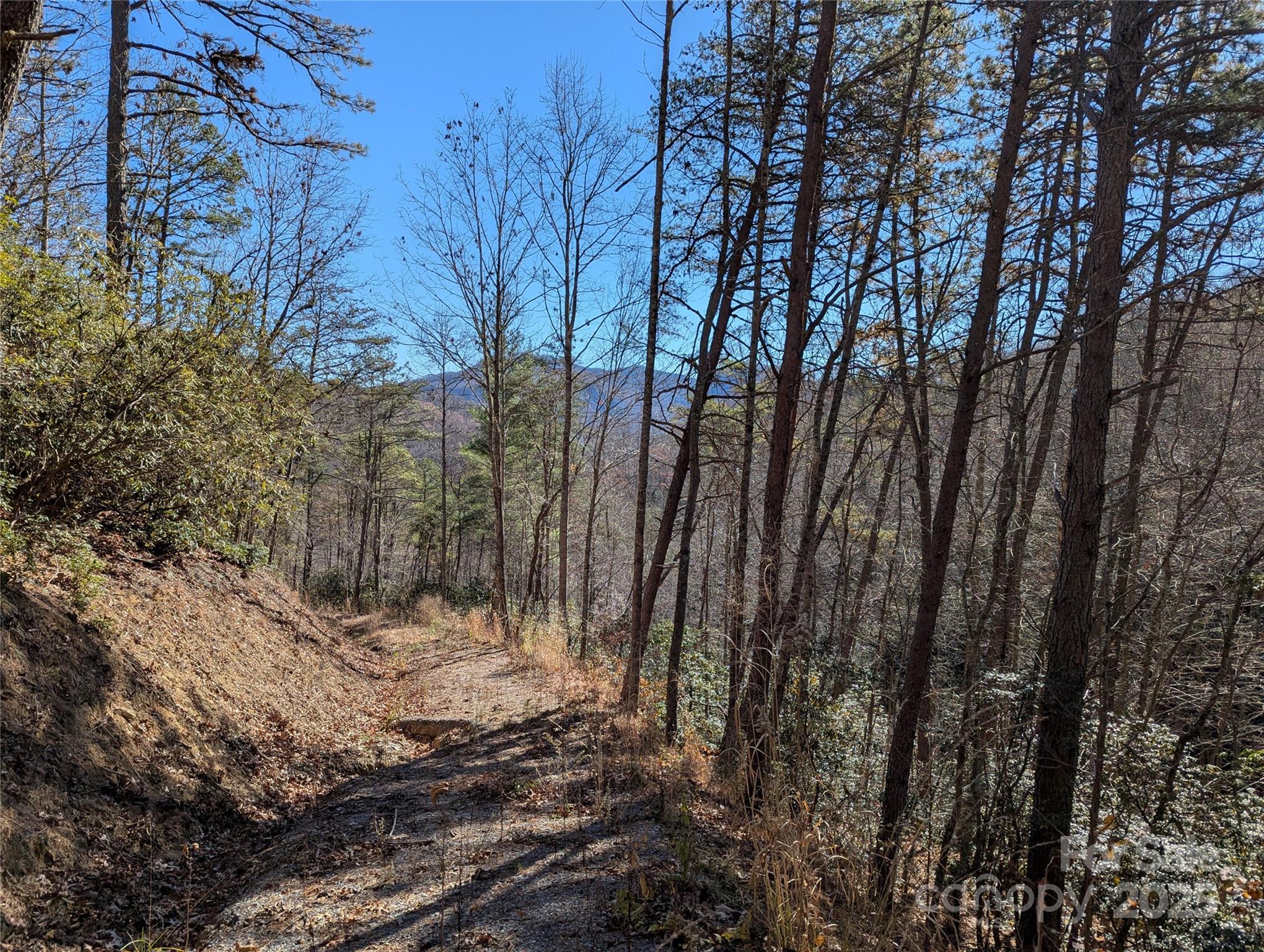 2726 Lower Flat Creek Road Black Mountain NC 28711