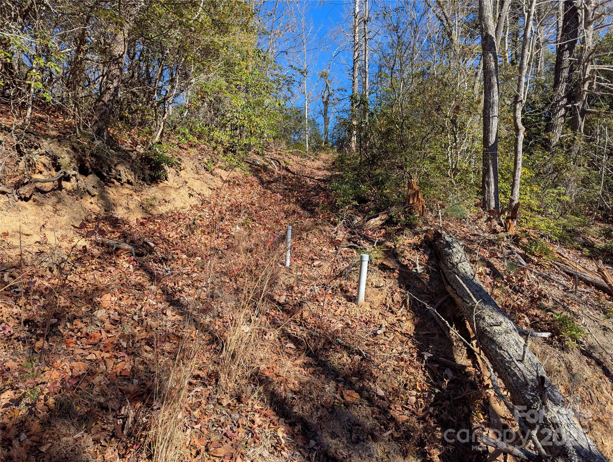 2726 Lower Flat Creek Road Black Mountain NC 28711