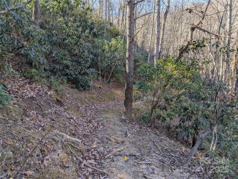 2726 Lower Flat Creek Road Black Mountain NC 28711