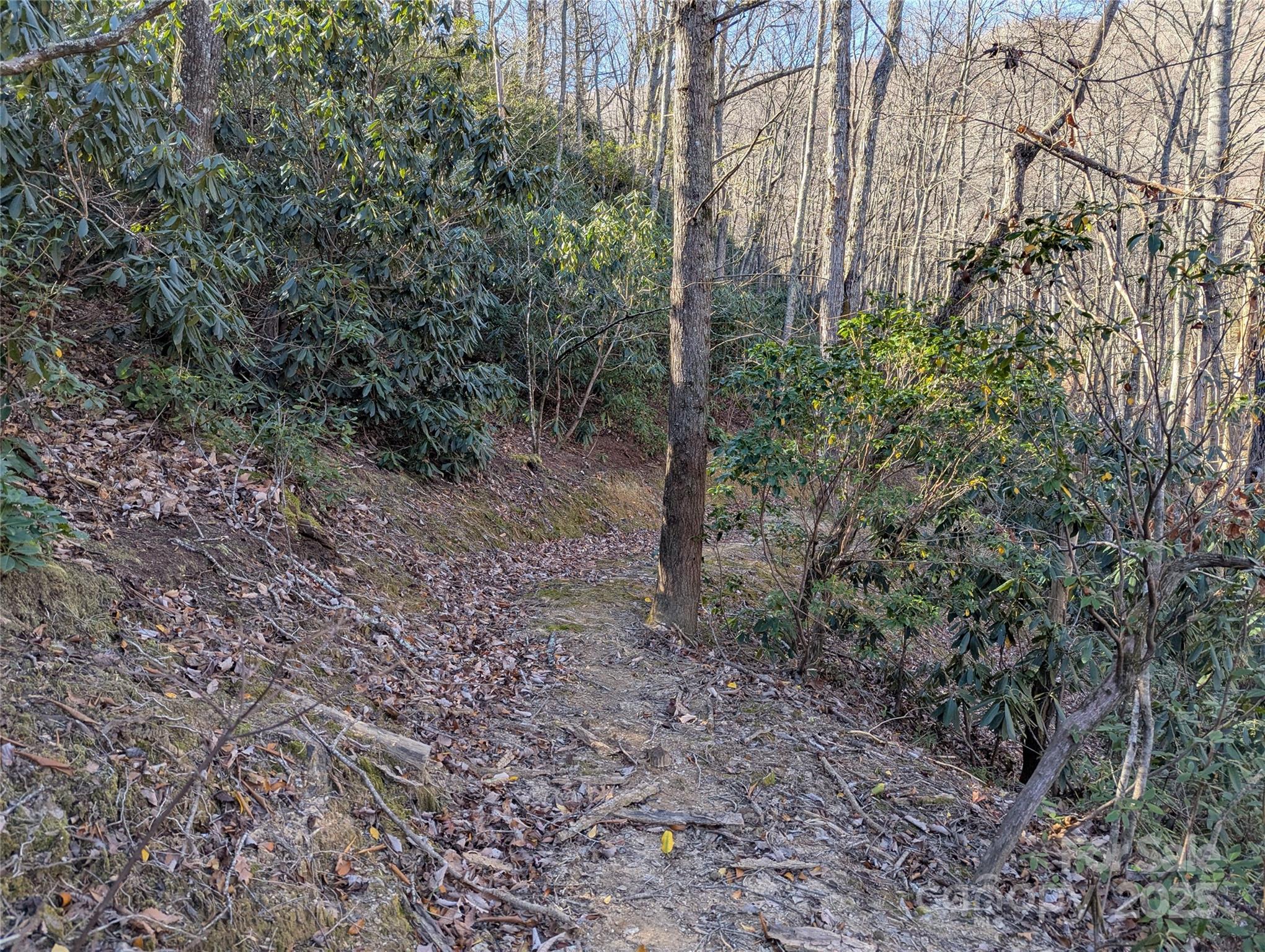 2726 Lower Flat Creek Road Black Mountain NC 28711