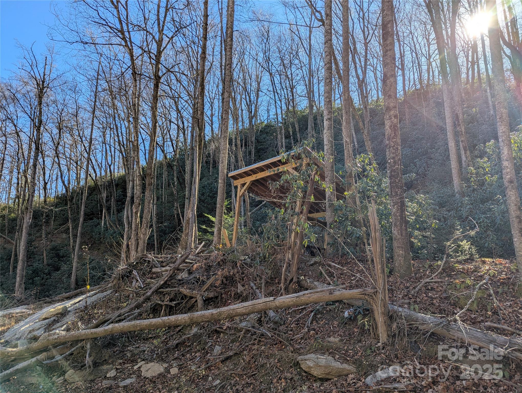2726 Lower Flat Creek Road Black Mountain NC 28711