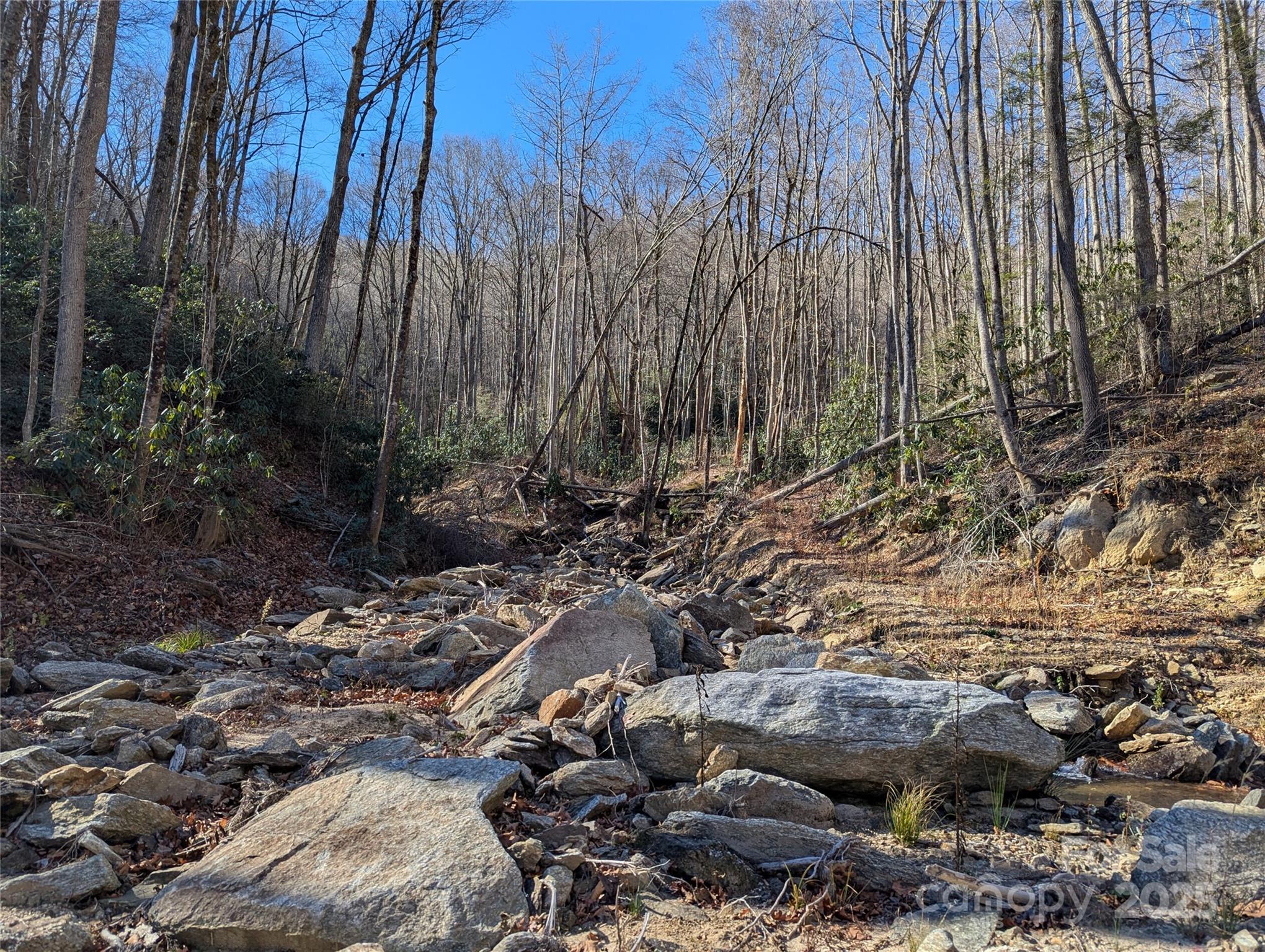 2726 Lower Flat Creek Road Black Mountain NC 28711