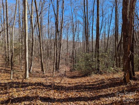 2726 Lower Flat Creek Road Black Mountain NC 28711