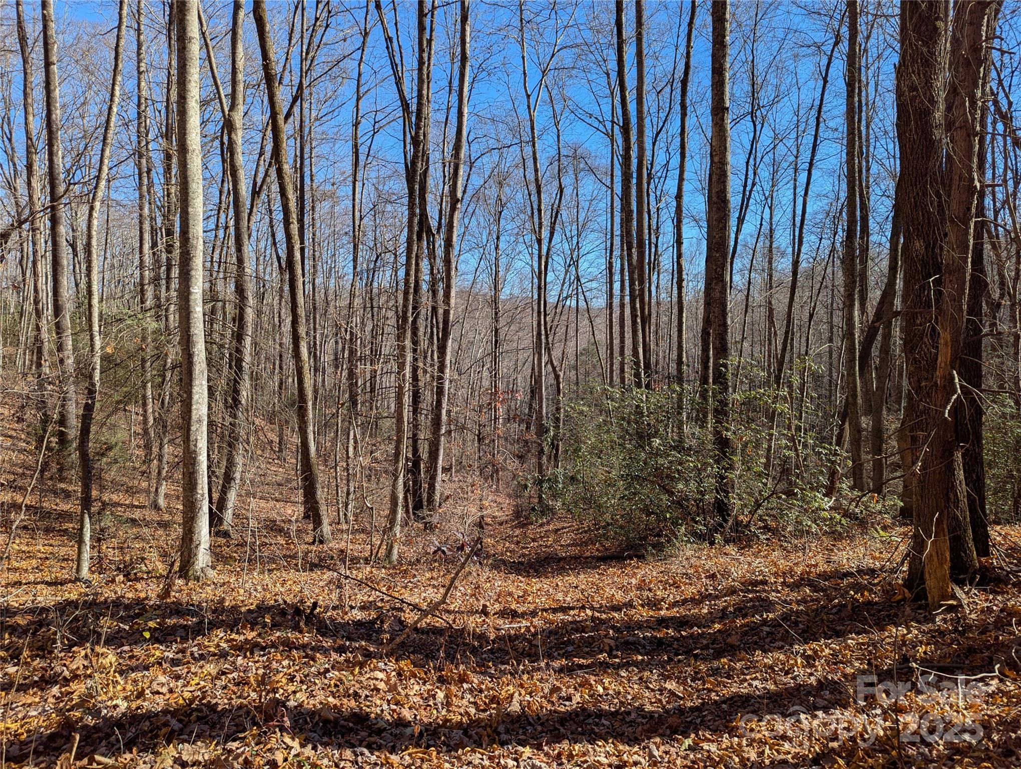 2726 Lower Flat Creek Road Black Mountain NC 28711