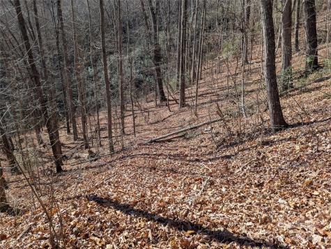 2726 Lower Flat Creek Road Black Mountain NC 28711