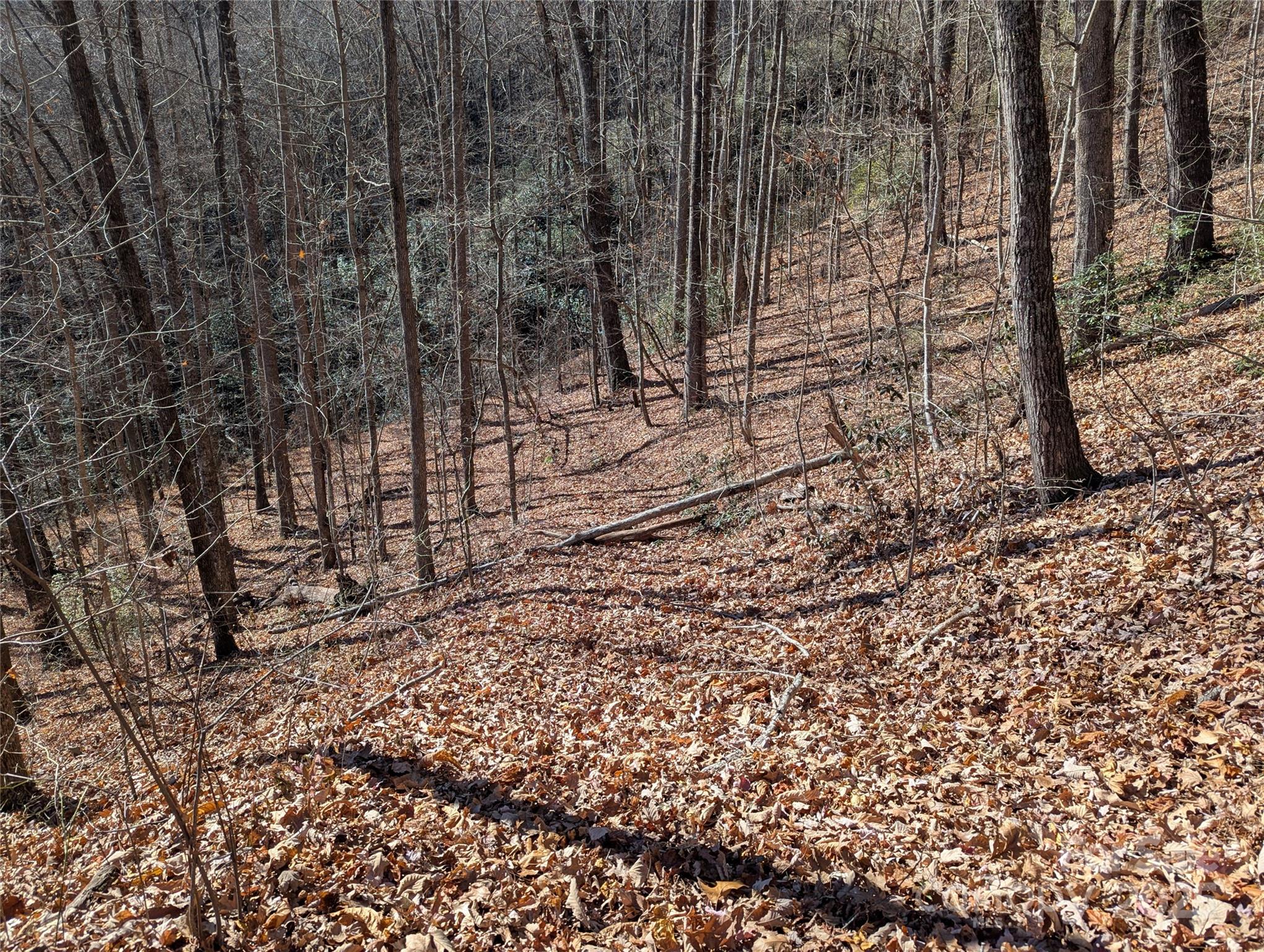 2726 Lower Flat Creek Road Black Mountain NC 28711