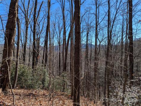2726 Lower Flat Creek Road Black Mountain NC 28711