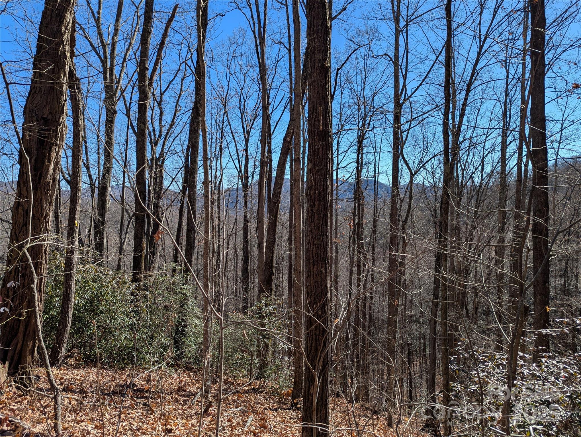 2726 Lower Flat Creek Road Black Mountain NC 28711