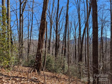 2726 Lower Flat Creek Road Black Mountain NC 28711