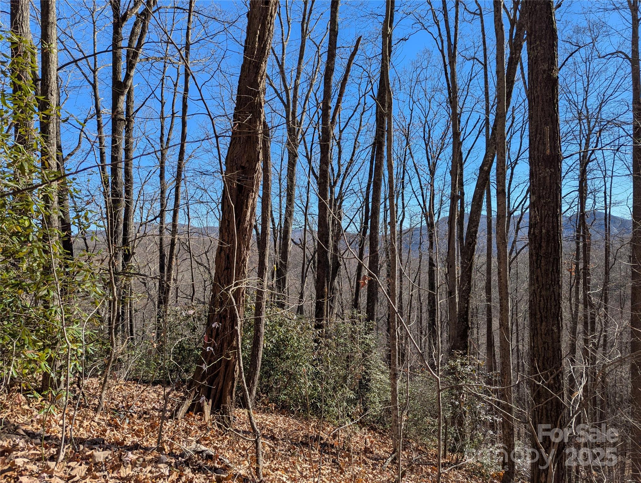 2726 Lower Flat Creek Road Black Mountain NC 28711