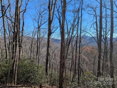 2726 Lower Flat Creek Road Black Mountain NC 28711