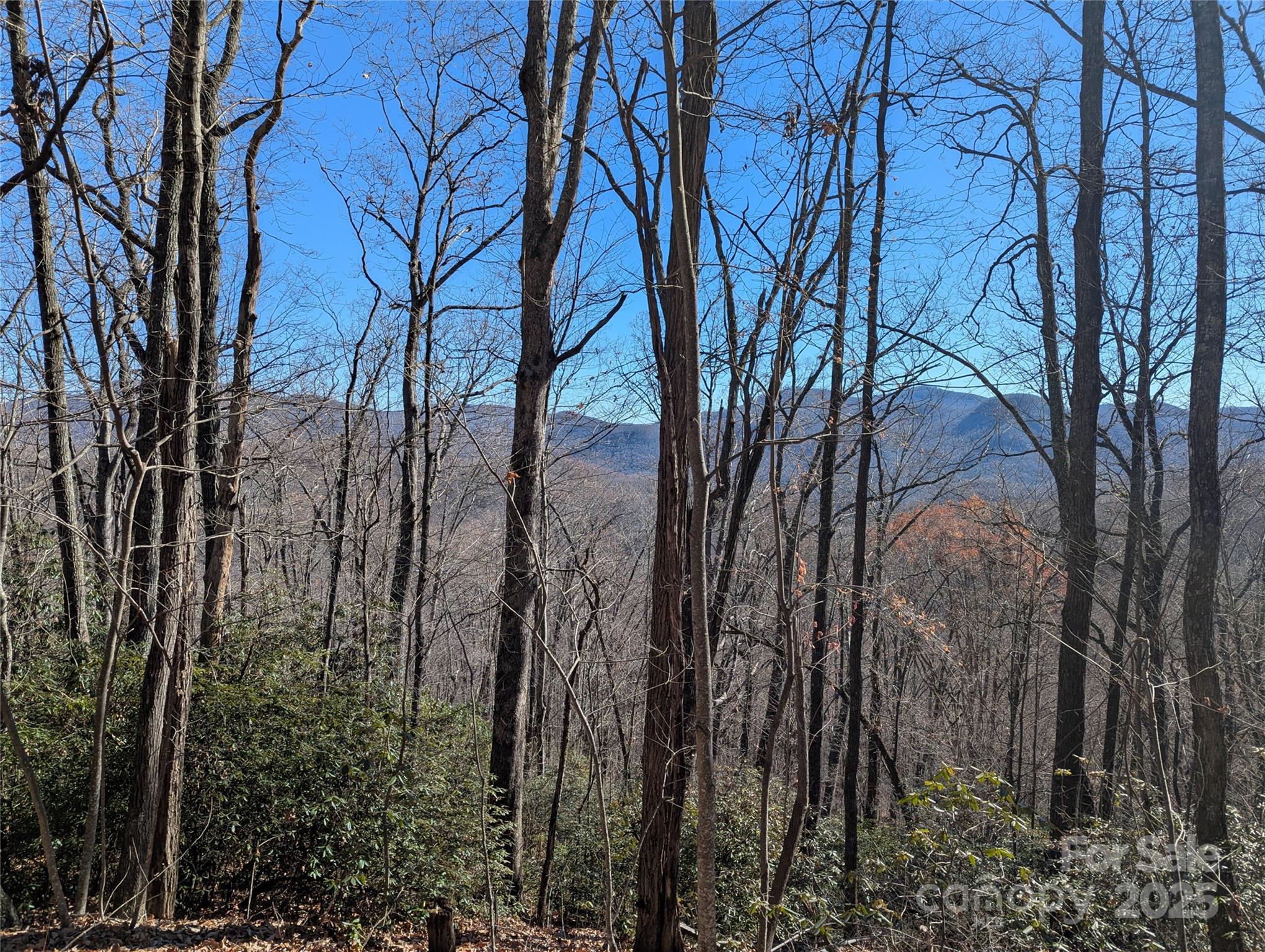2726 Lower Flat Creek Road Black Mountain NC 28711