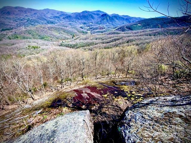 2726 Lower Flat Creek Road Black Mountain NC 28711