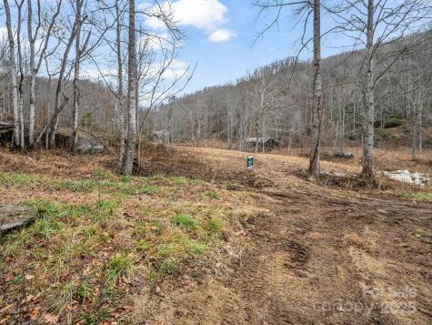 2726 Lower Flat Creek Road Black Mountain NC 28711