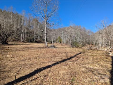 2726 Lower Flat Creek Road Black Mountain NC 28711