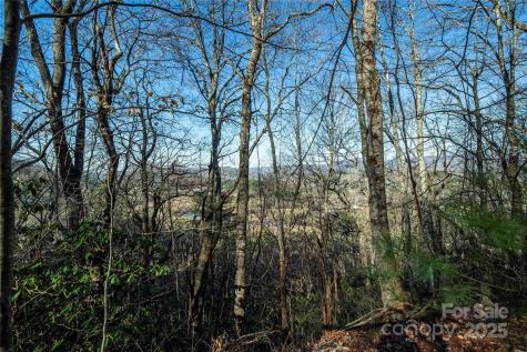 Tbd Three Mile Knob Road Pisgah Forest NC 28768