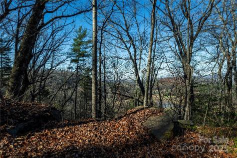 Tbd Three Mile Knob Road Pisgah Forest NC 28768