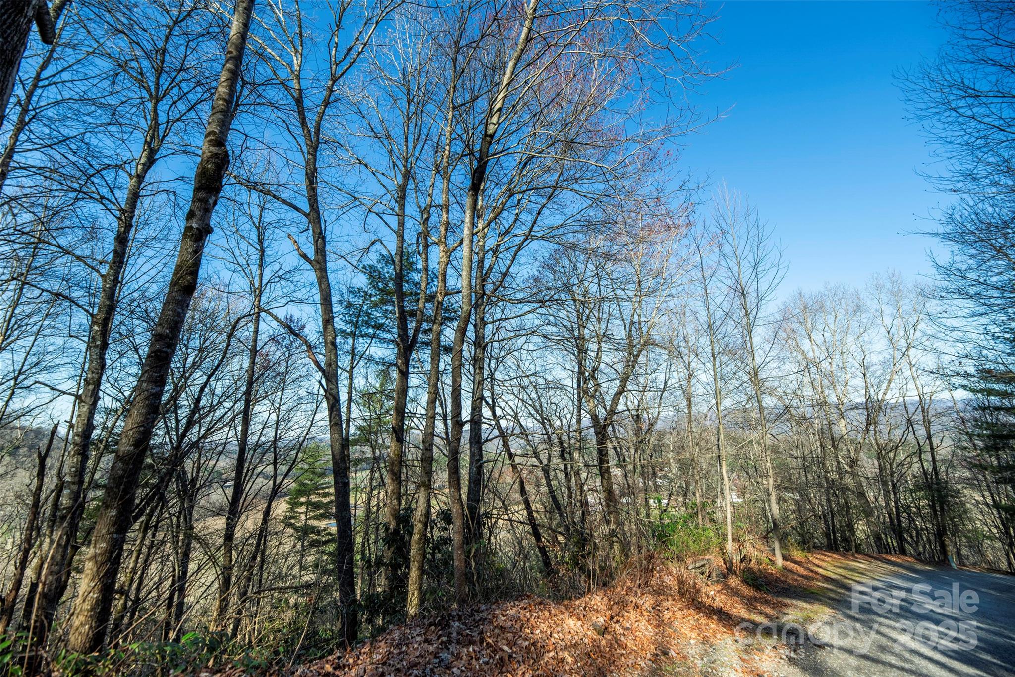 Tbd Three Mile Knob Road Pisgah Forest NC 28768