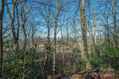 Tbd Three Mile Knob Road Pisgah Forest NC 28768