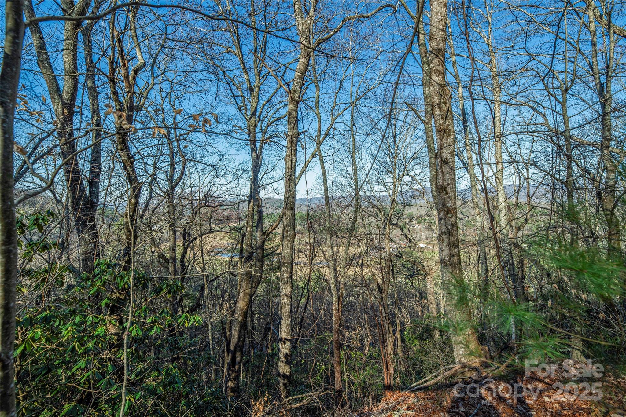 Tbd Three Mile Knob Road Pisgah Forest NC 28768