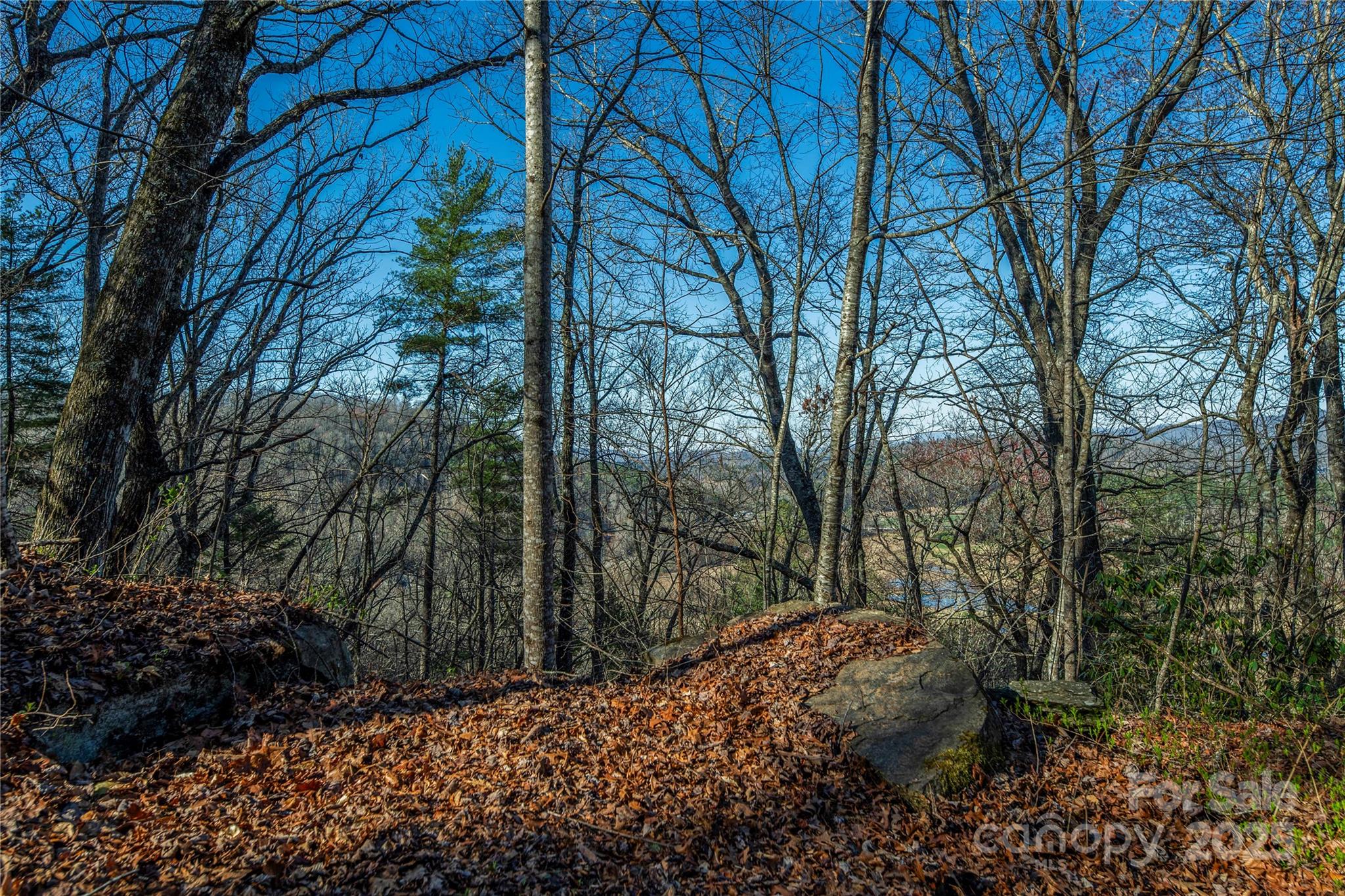 Tbd Three Mile Knob Road Pisgah Forest NC 28768