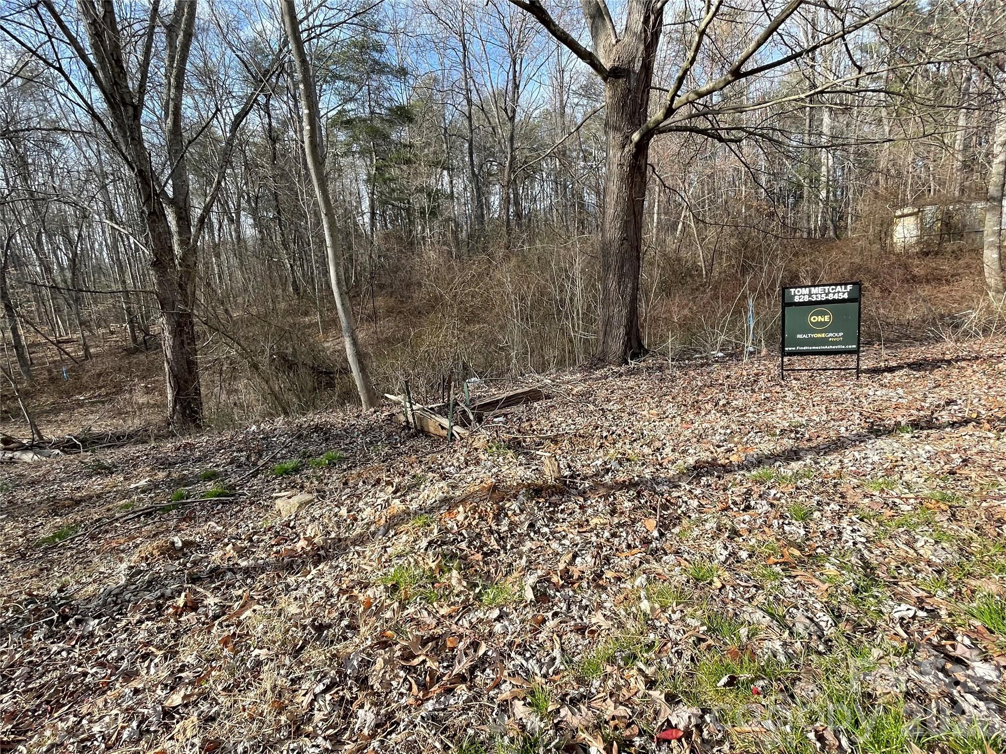 000 Max Metcalf Road Swannanoa NC 28778