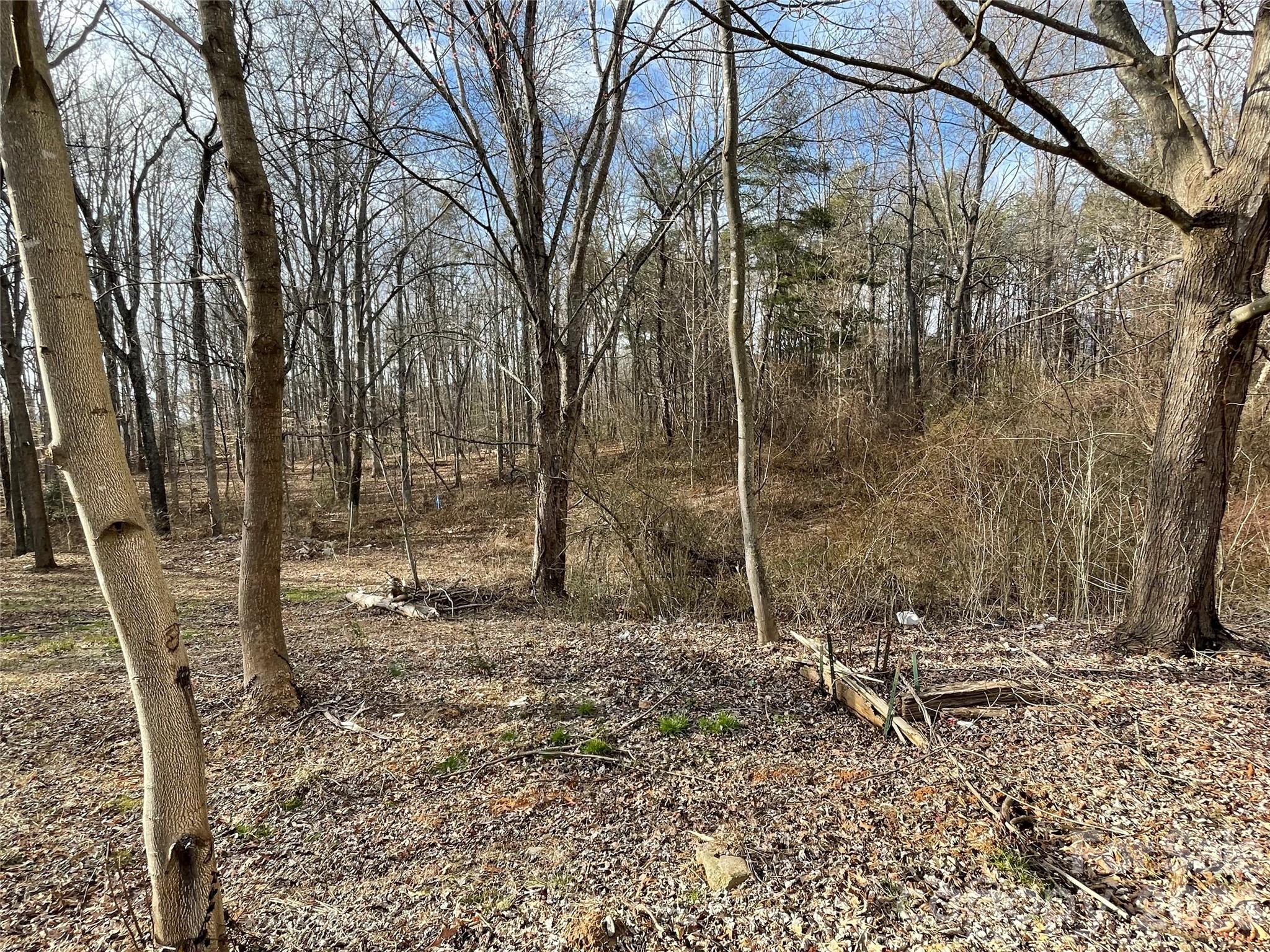 000 Max Metcalf Road Swannanoa NC 28778