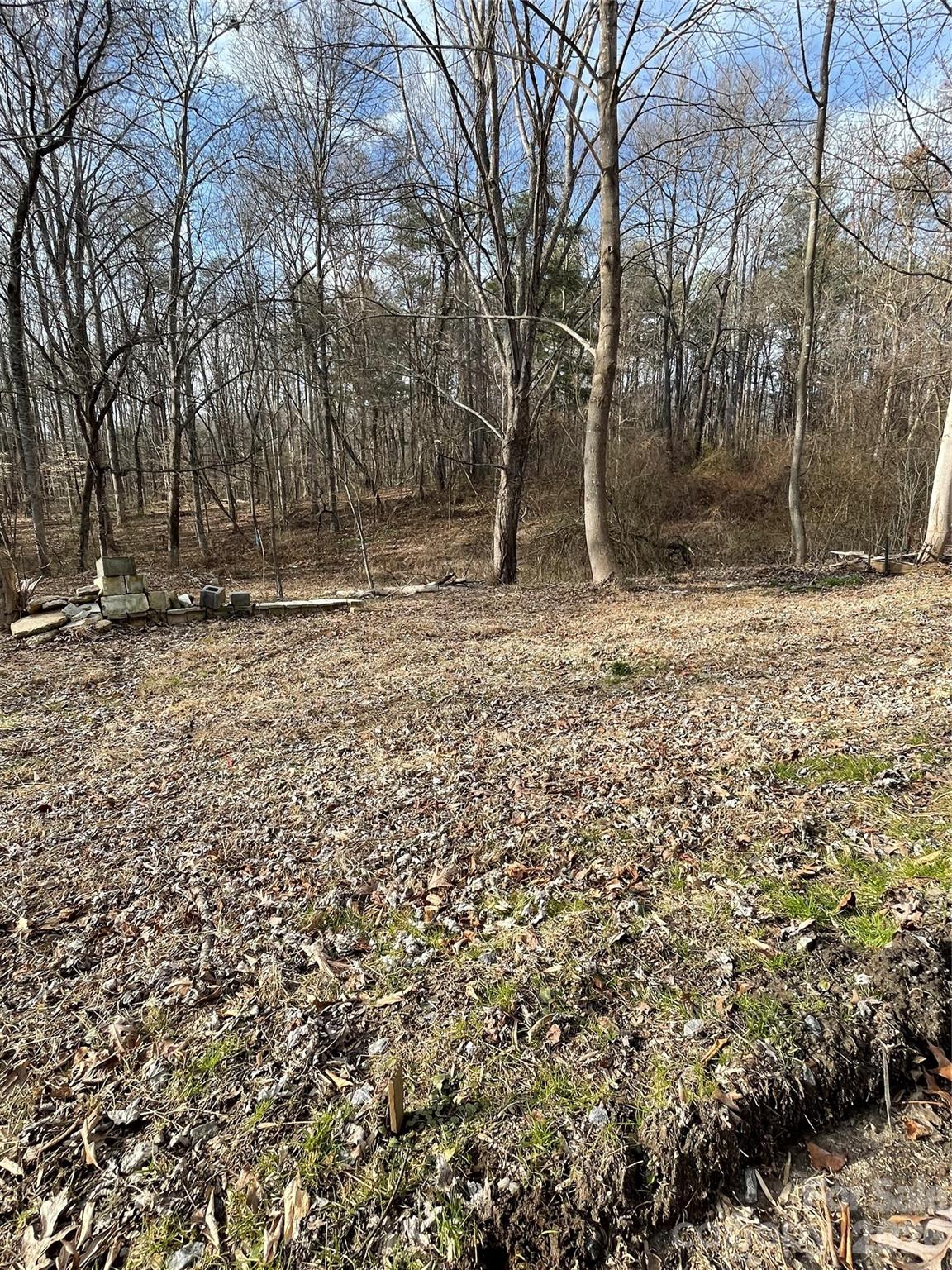 000 Max Metcalf Road Swannanoa NC 28778