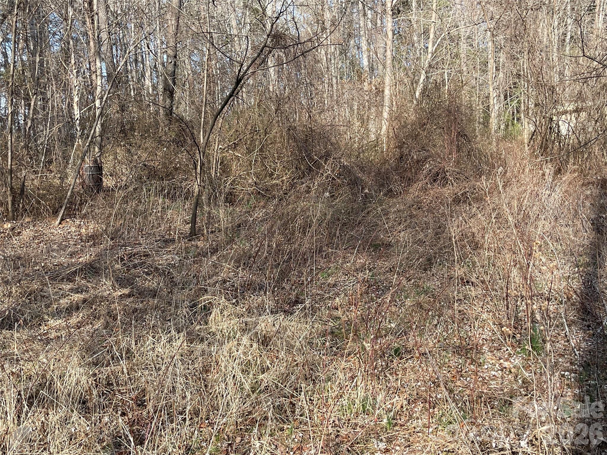 000 Max Metcalf Road Swannanoa NC 28778