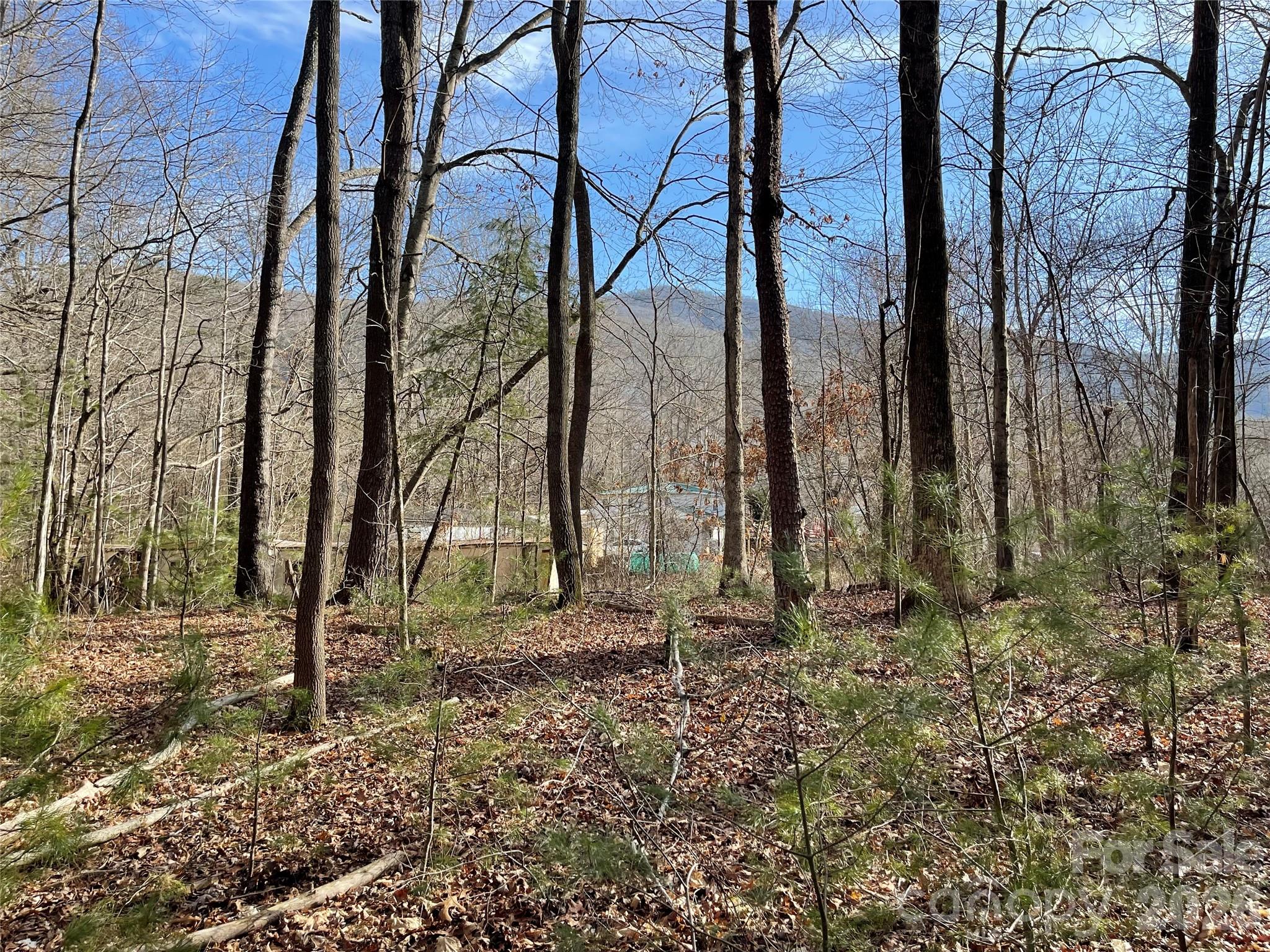 000 Max Metcalf Road Swannanoa NC 28778