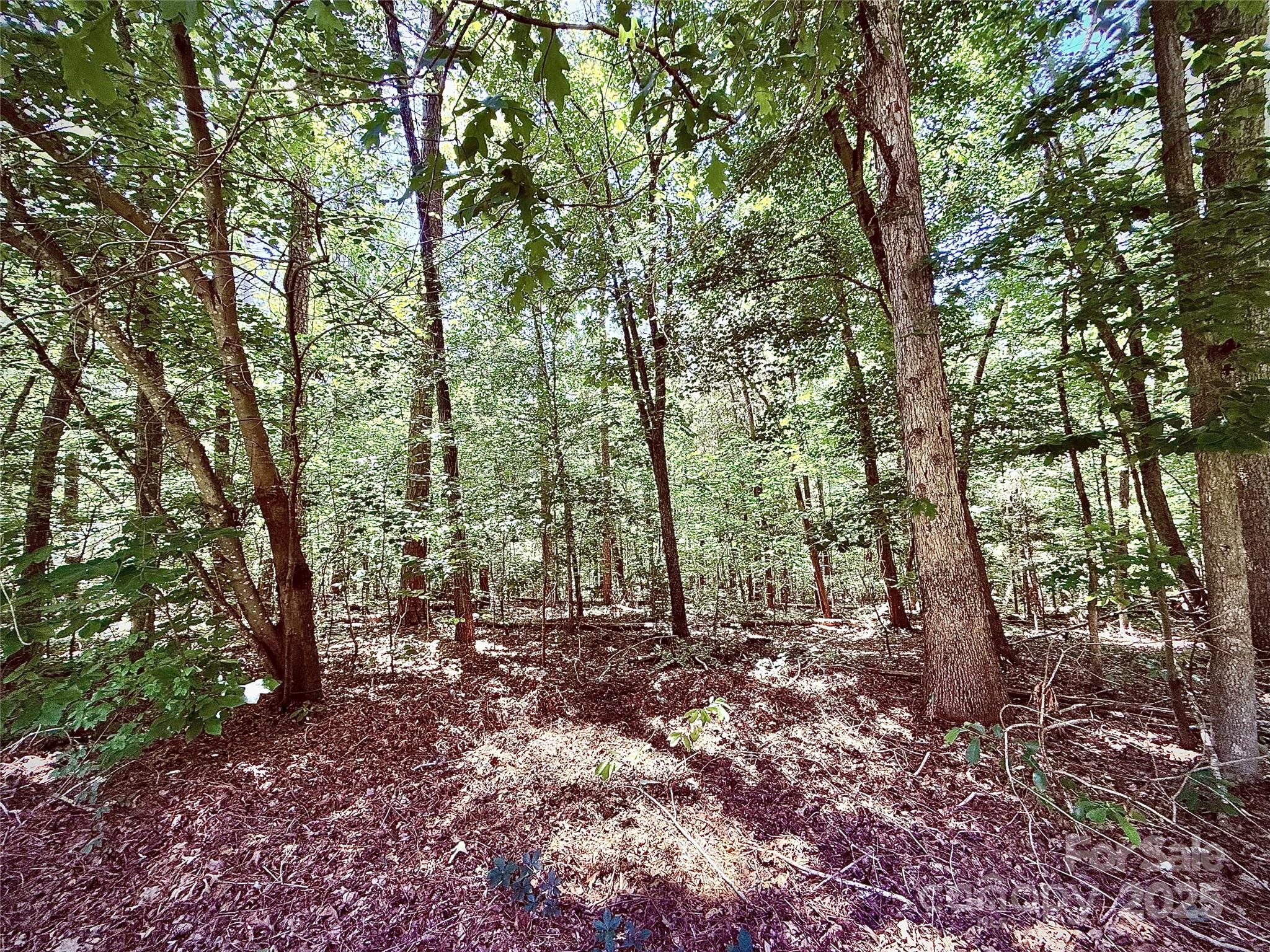 00 Margie Lane Norwood NC 28128