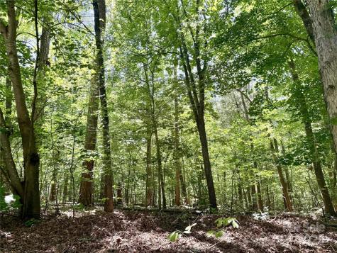 00 Margie Lane Norwood NC 28128
