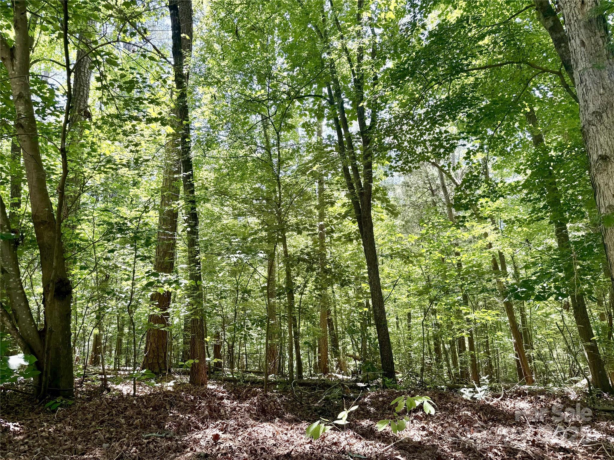 00 Margie Lane Norwood NC 28128