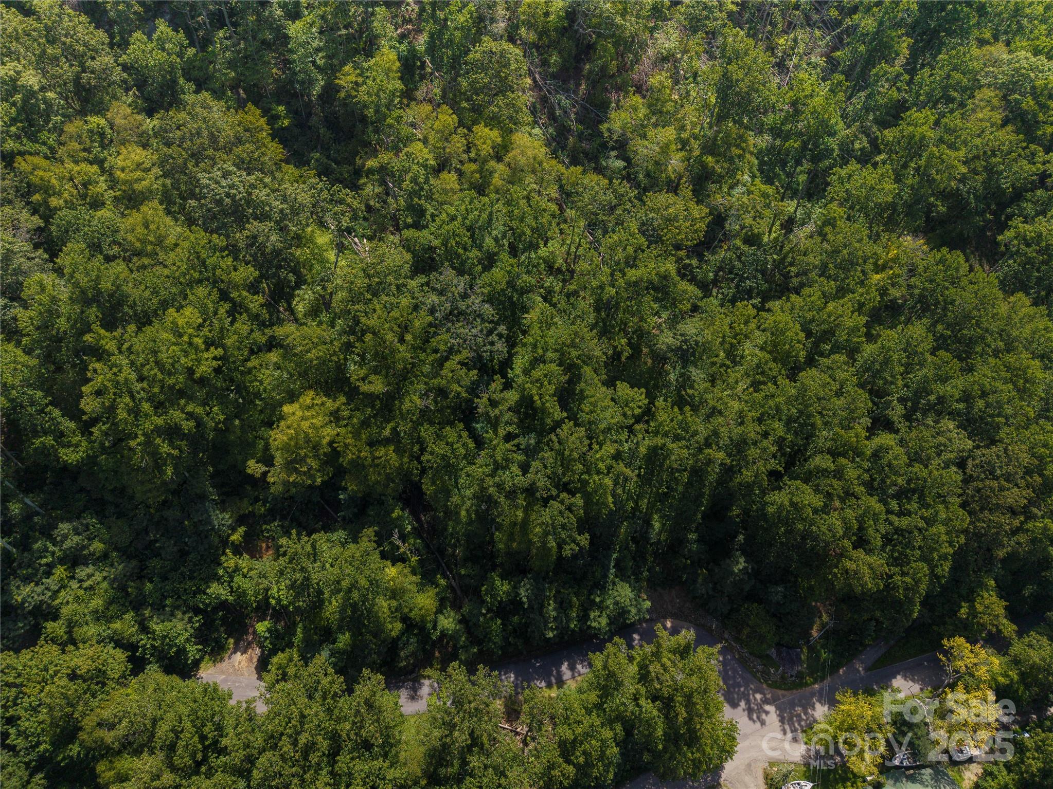 99999 Cedar Mountain Road Asheville NC 28803