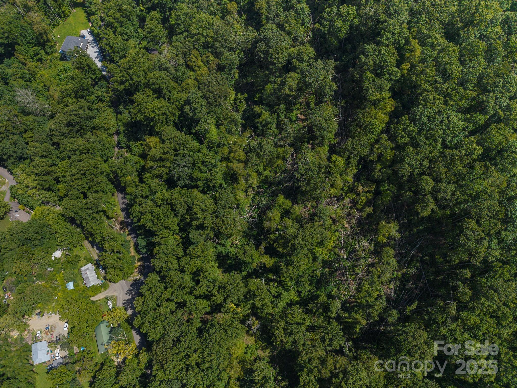 99999 Cedar Mountain Road Asheville NC 28803