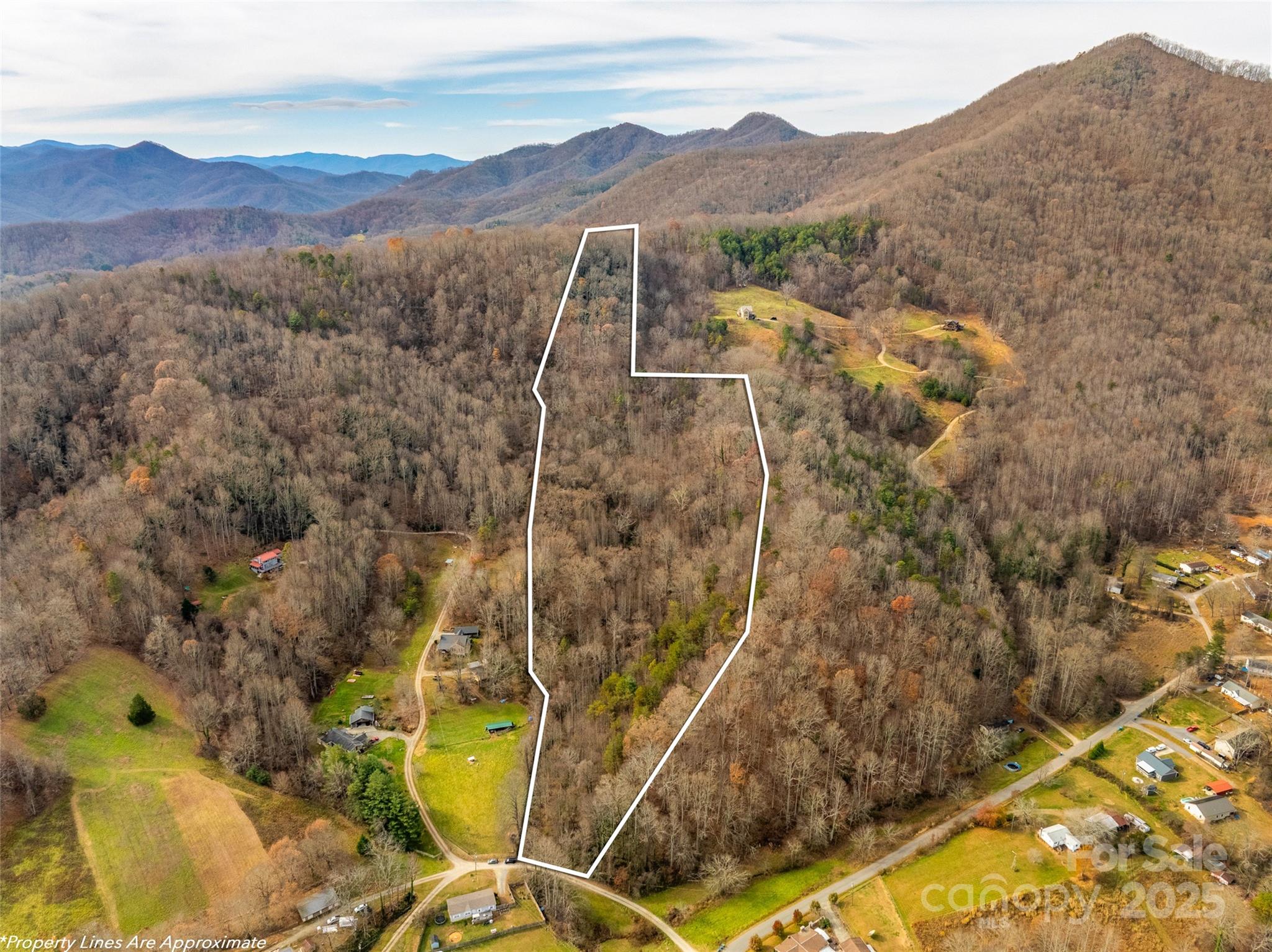 99999 Bay Horse Trail Candler NC 28715