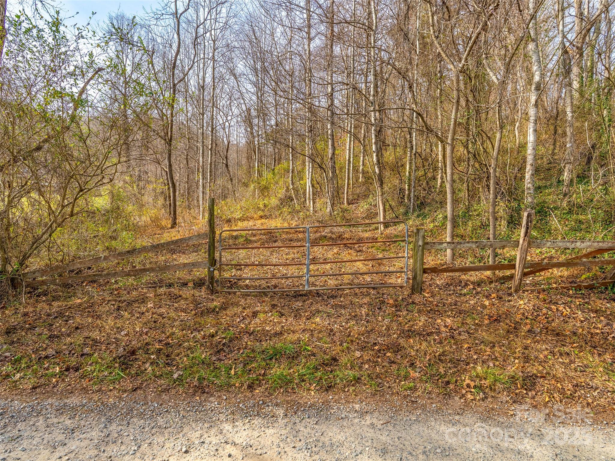 99999 Bay Horse Trail Candler NC 28715