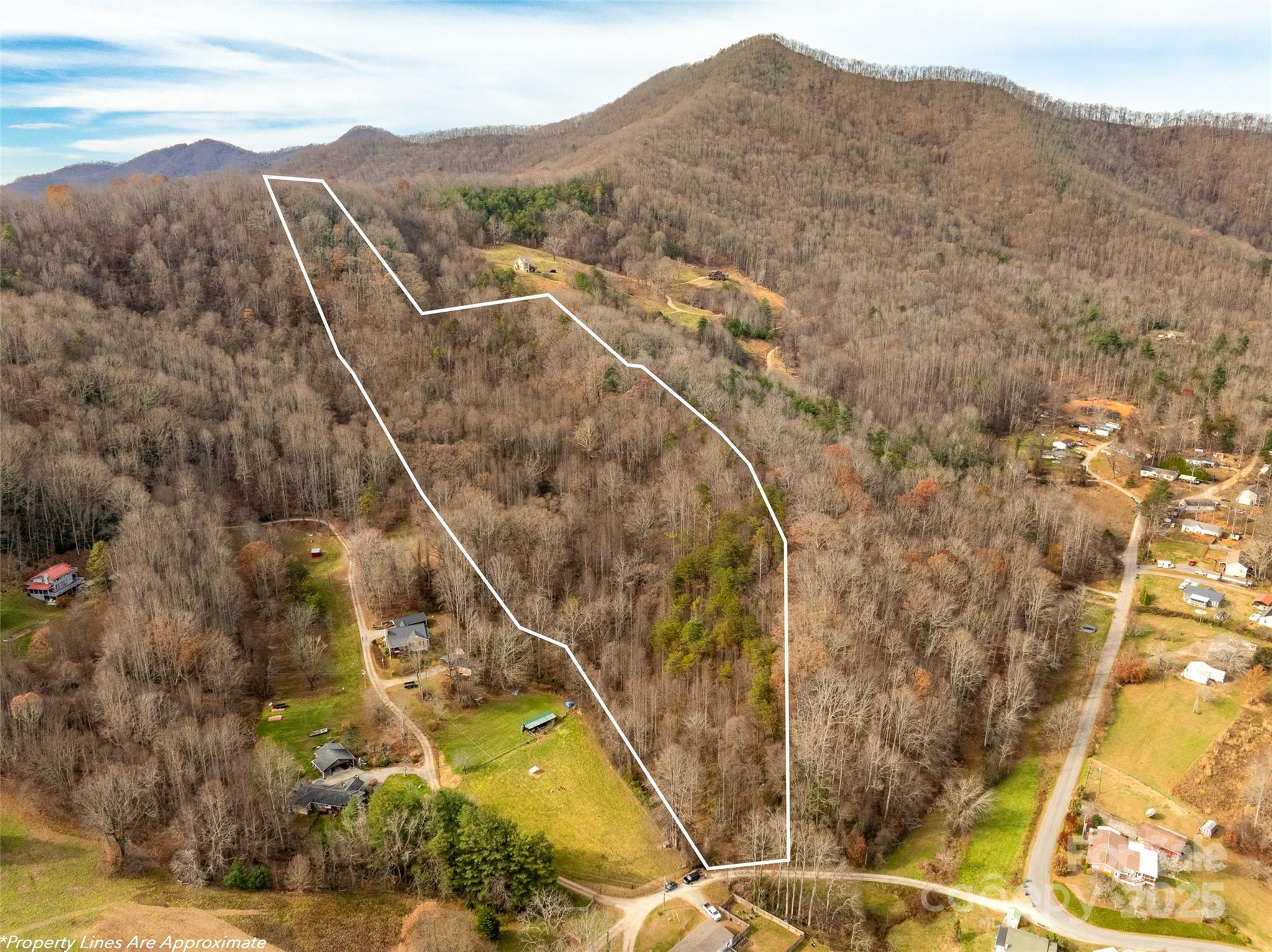99999 Bay Horse Trail Candler NC 28715