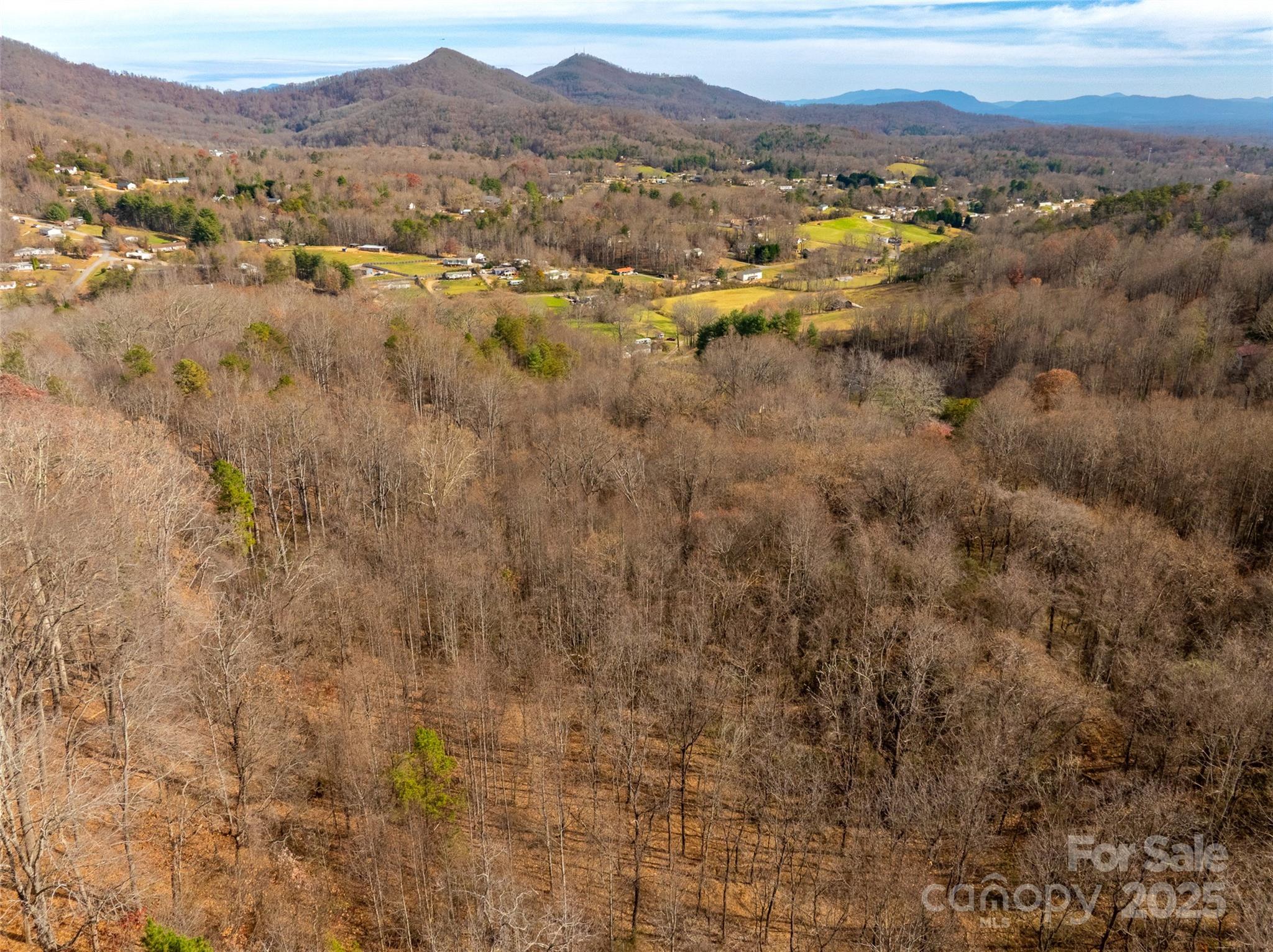 99999 Bay Horse Trail Candler NC 28715