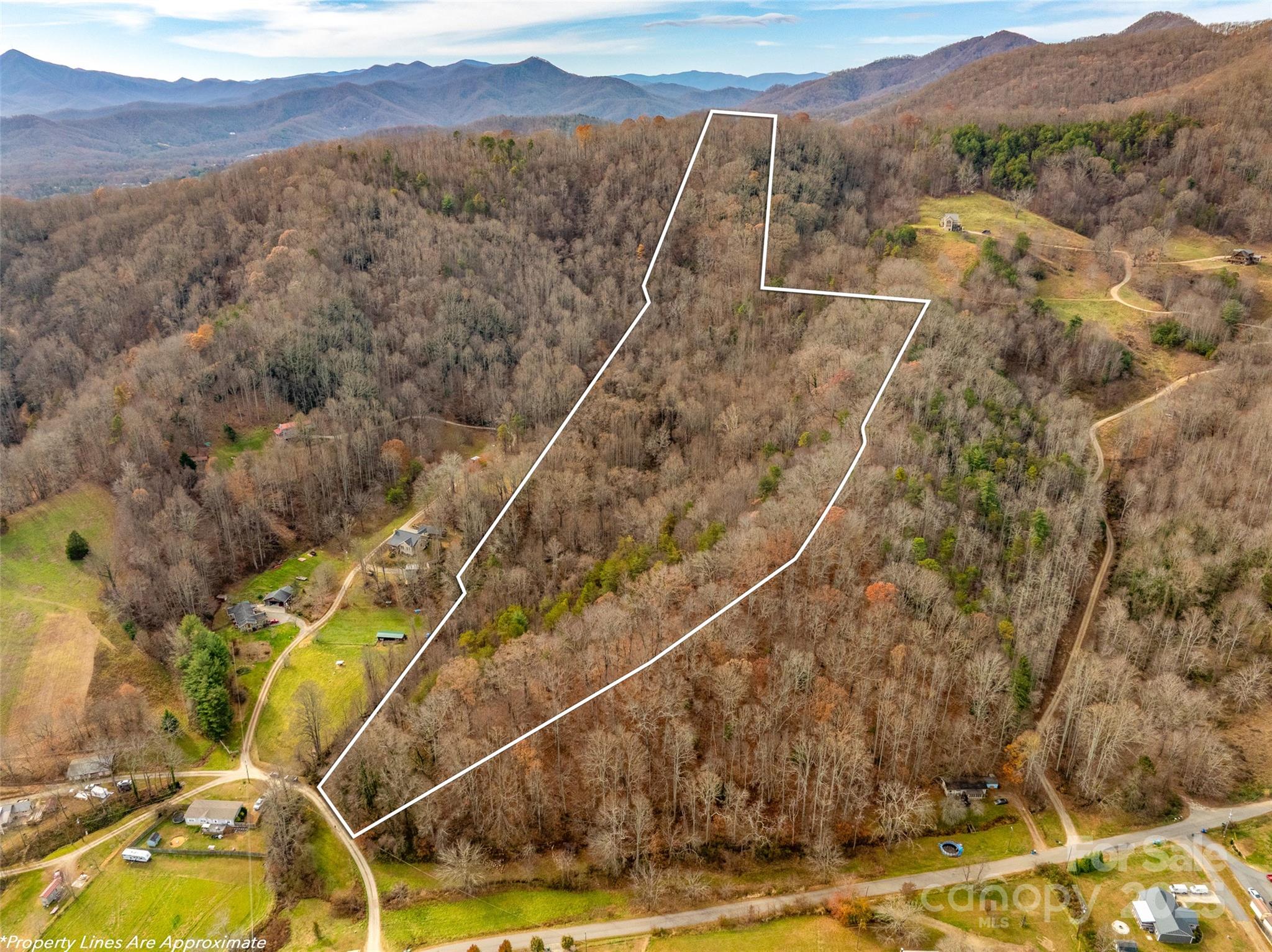 99999 Bay Horse Trail Candler NC 28715