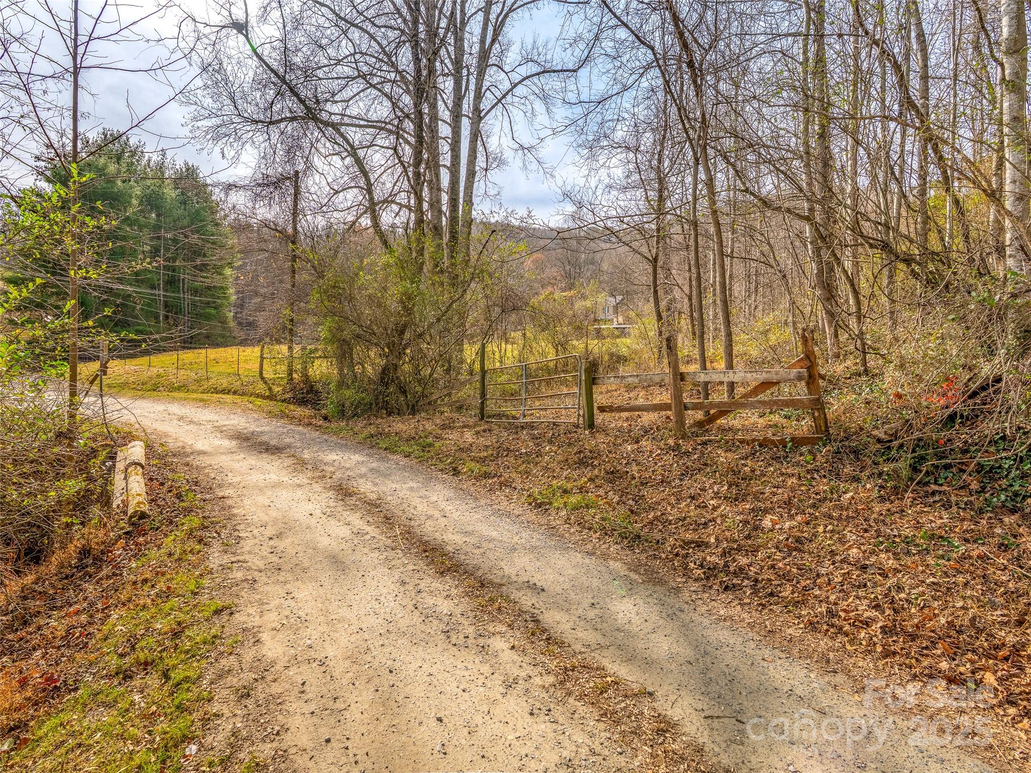 99999 Bay Horse Trail Candler NC 28715