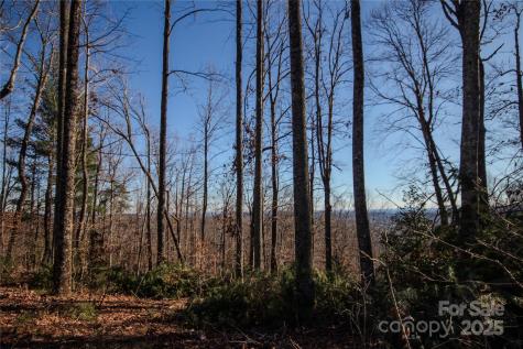2209 Nighthawk Ridge Court Lenoir NC 28645