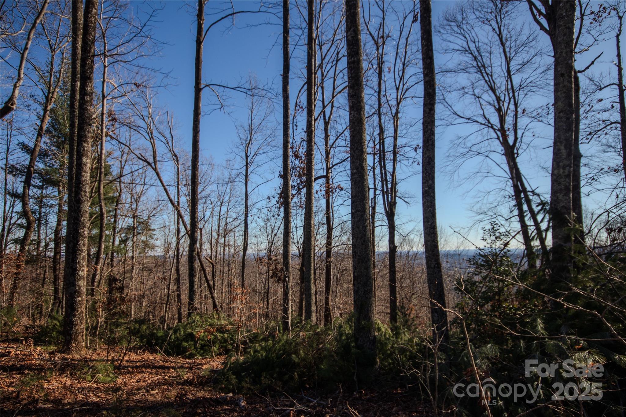 2209 Nighthawk Ridge Court Lenoir NC 28645